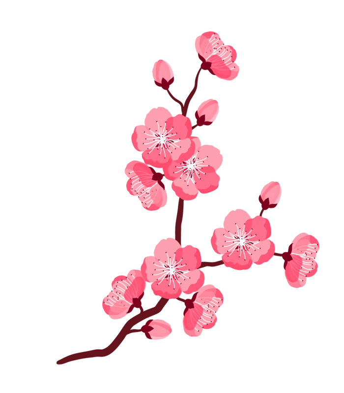 春天浪漫粉红色樱花手绘樱花梅花桃花花朵图片PNG免扣素材