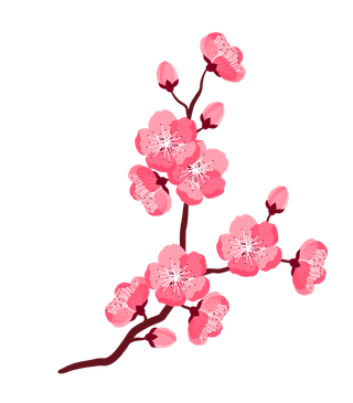 春天浪漫粉红色樱花手绘樱花梅花桃花花朵图片PNG免扣素材