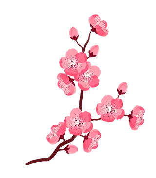 春天浪漫粉红色樱花手绘樱花梅花桃花花朵图片PNG免扣素材