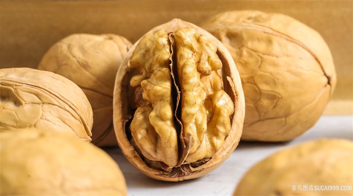 山核桃摄影图片