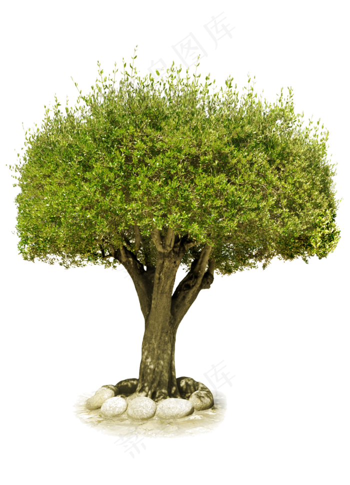 树木免扣图片  