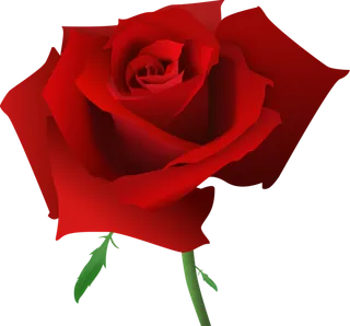 鲜花玫瑰免扣素材