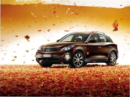 英菲尼迪静美秋日落叶宣传图