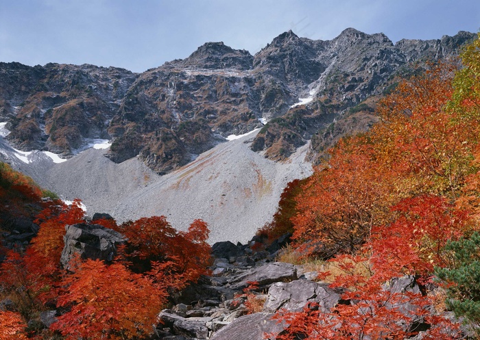 绿树山水 103