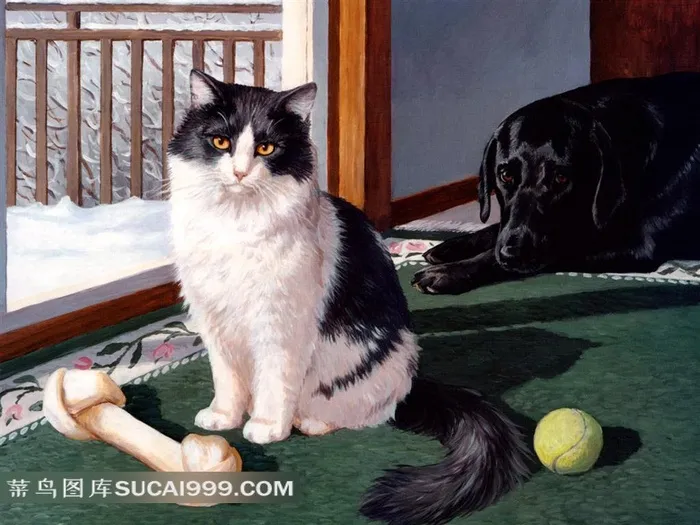 黑狗小猫插画素材