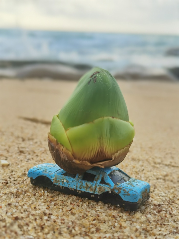 海边迷你小椰子车模型沙滩