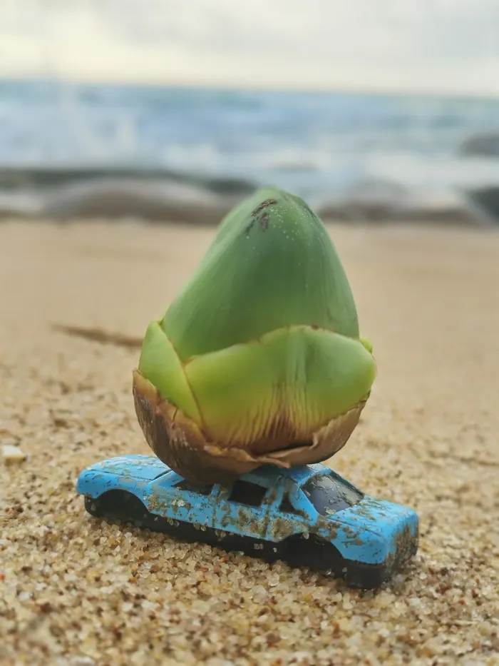 海边迷你小椰子车模型沙滩
