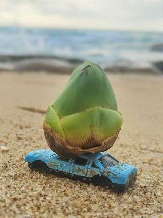 海边迷你小椰子车模型沙滩