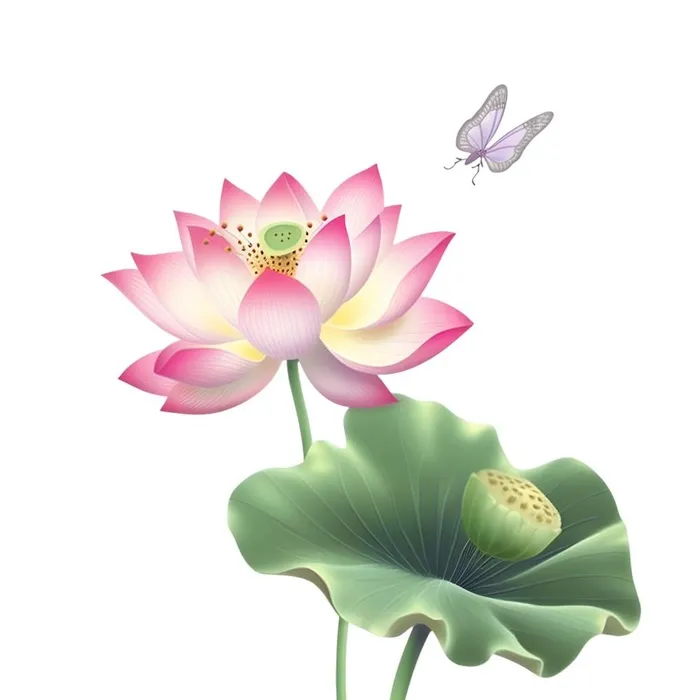 荷花荷叶莲花免抠(1900x1900)