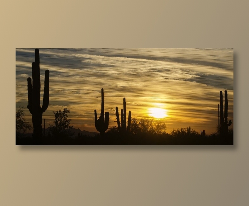 黄昏天空云彩与仙人掌摄影高清图片