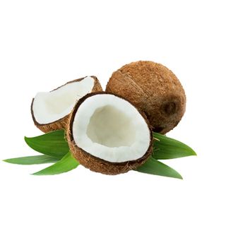 免抠椰子实物摄影图片