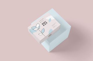 设计盒子样品psd素材