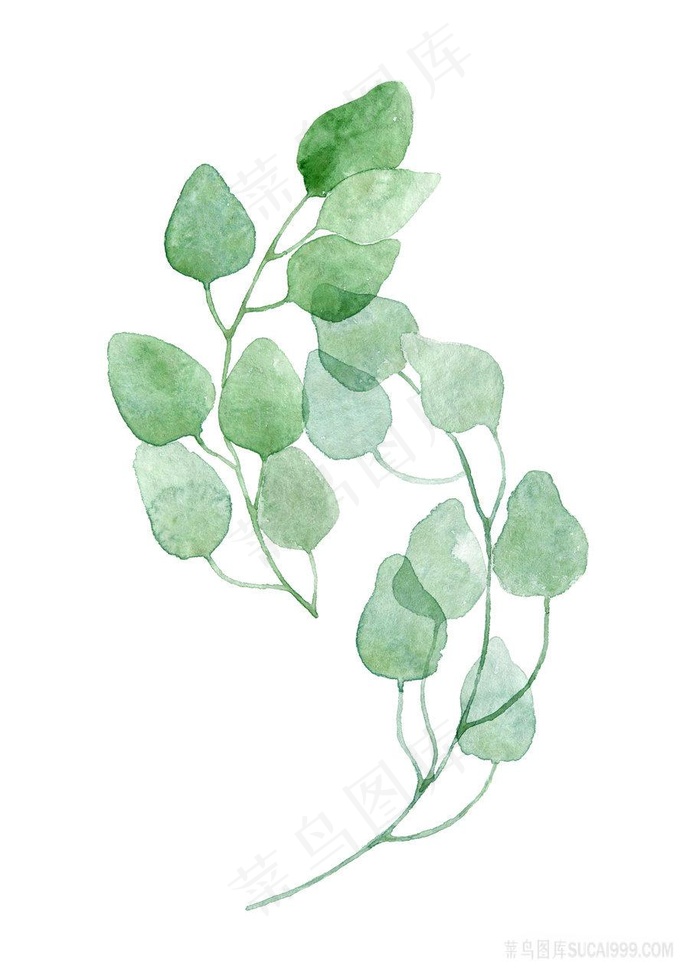 透明绿色树枝树叶装饰画