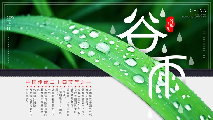 谷雨二十四节气海报设计psd模版下载
