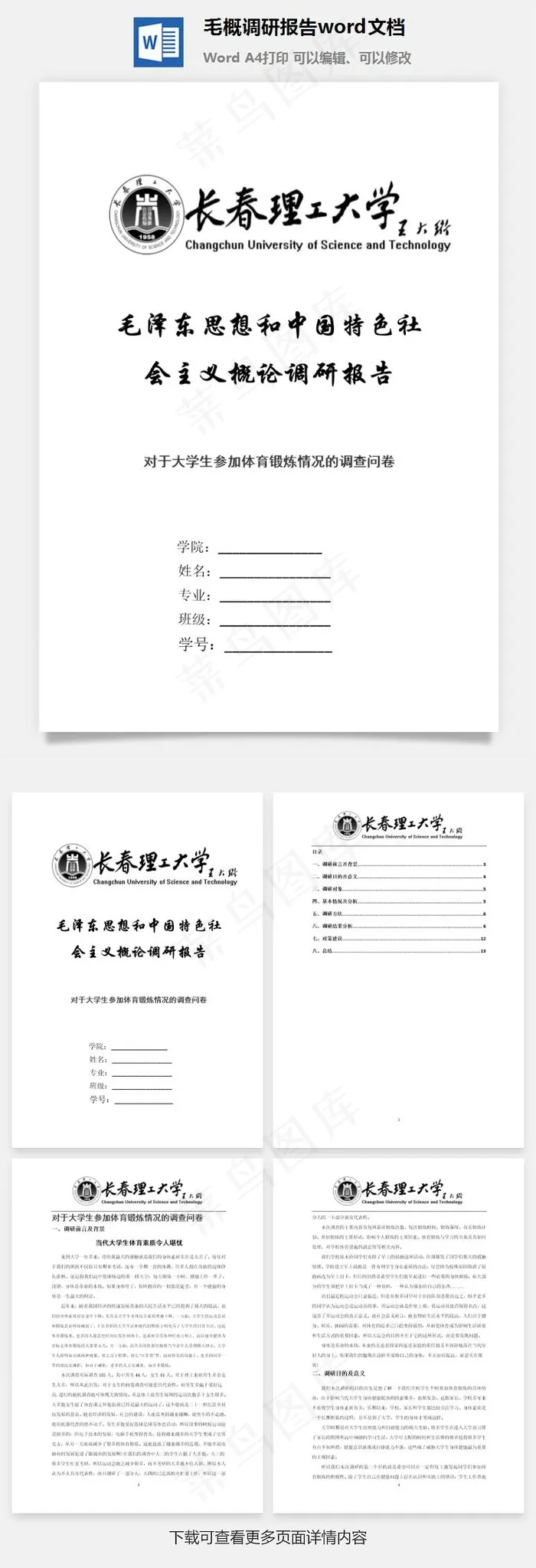 毛概调研报告word文档