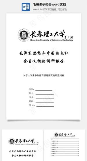 毛概调研报告word文档