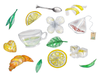 茶 喝茶 茶文化 茶点 画画 切 喝 透明