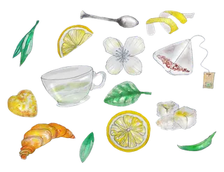 茶 喝茶 茶文化 茶点 画画 切 喝 透明