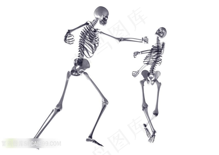 打架斗殴的人体骨架素材