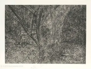 弗洛伊德手绘树木风景画