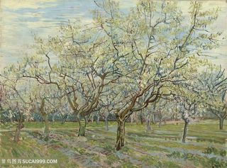 高清梵高油画图片