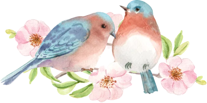 插画春鸟免抠素材