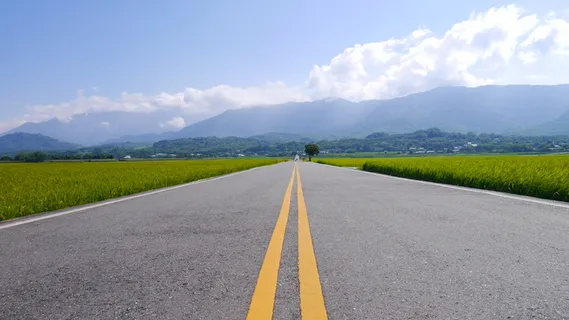 公路变青色稻田稻浪 公路变青色稻田稻浪