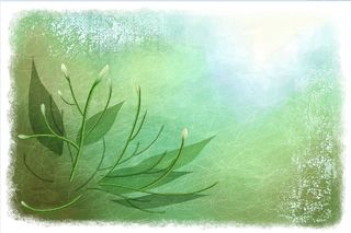 创造绿色叶子背景墙