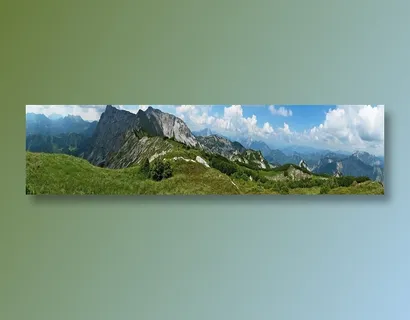 阿尔卑斯山的全景 阿尔卑斯山的全景