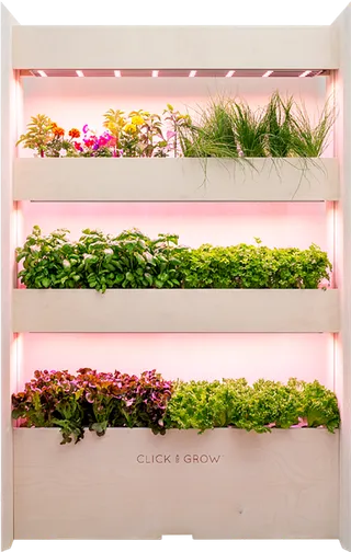 保险冰箱保鲜柜现代农业