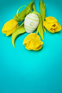 郁金香桌面背景图片