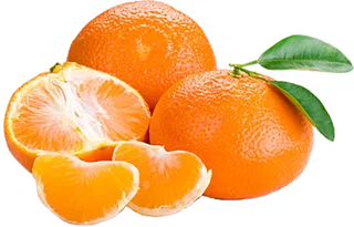 橘子免抠素材 (50)