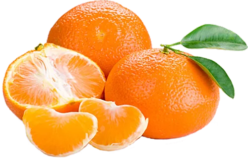 橘子免抠素材 (50) 橘子免抠素材 (50)