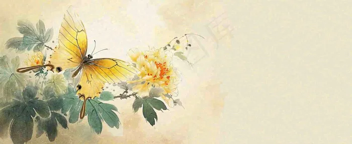 温馨纹理橙色花朵鲜花蝴蝶意境唯美渐变，中国风(1712x704)