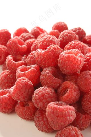 高清树莓图片下载