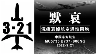 3.21东方航空MU5735纪念