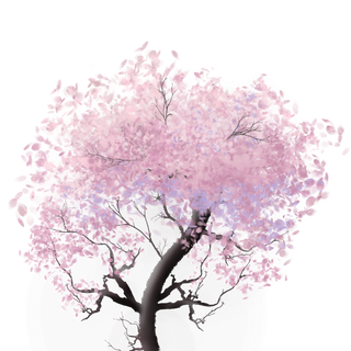 树木树枝树叶免扣素材