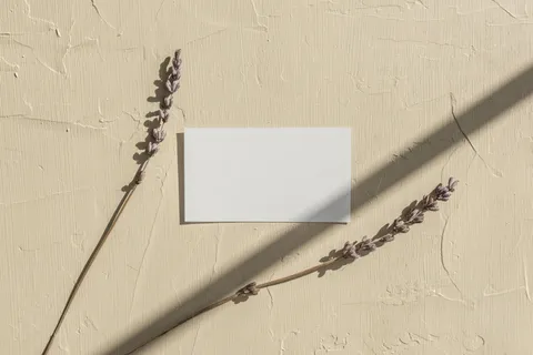 文艺光影单张名片样机