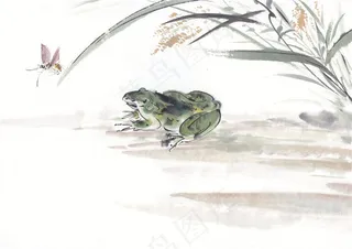 昆虫花草高清图片素材