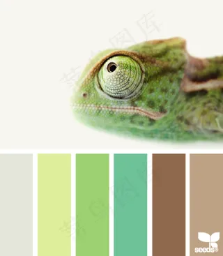 动物配色色卡色彩搭配