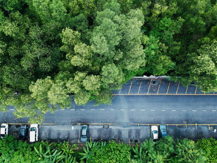 俯瞰树林与街道风景图片