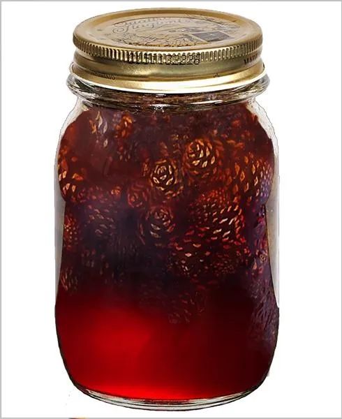 果酱免抠(490x600)
