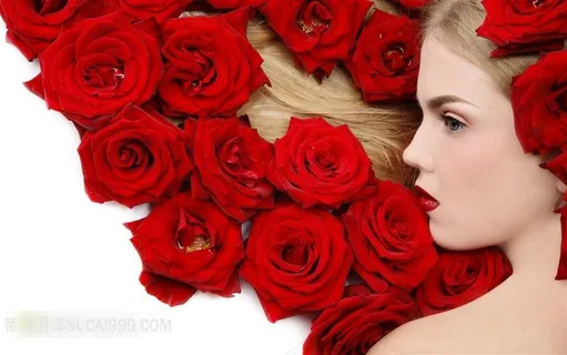 美女鲜花玫瑰 美女鲜花玫瑰