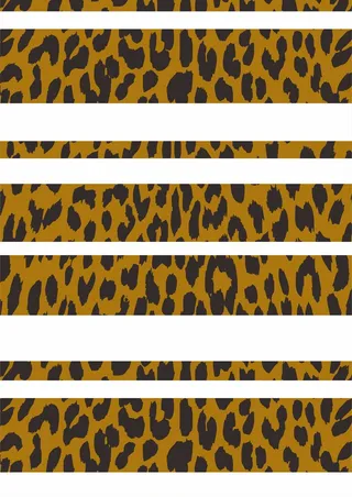 豹纹图案矢量图