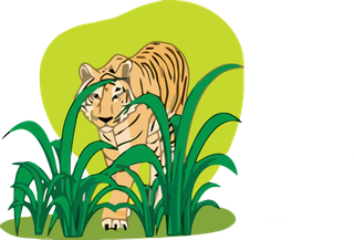 老虎素材卡通简笔