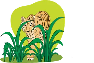 老虎素材卡通简笔