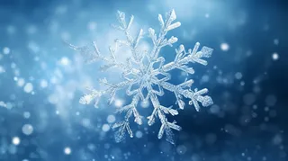 冬季雪花细节图