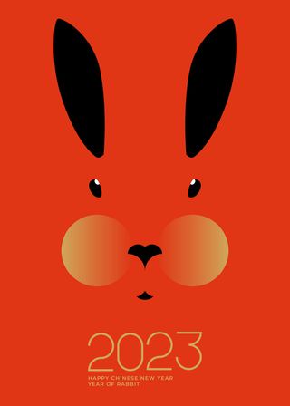 2023新春活动除夕国潮风卡通兔年喜庆新年插画海报PSD设计素材