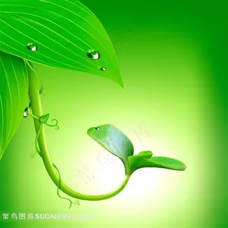 装饰画背景画无框画