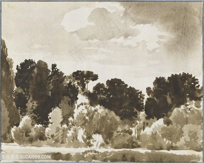 水彩树简约风景画装饰画手绘插画